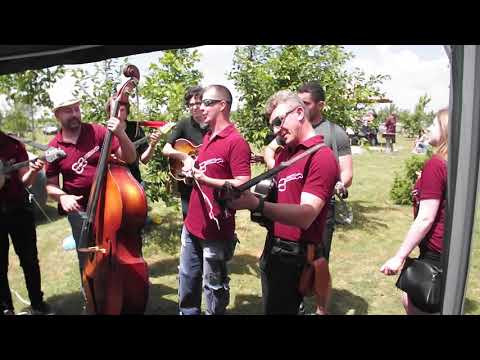 Csantavéri Mendicus tamburazenekar "házhoz jött" - Falunap Csantavér 2021.06.12.