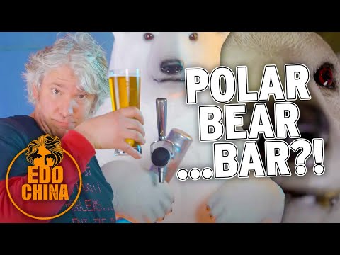 , title : 'I made a BAR out of a POLAR BEAR | Workshop Diaries | Edd China'