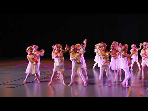 Hawaiian Roller Coaster ride- kristianstadflickorna