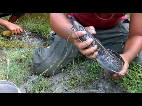 Amazing Oil Fishing Unique Method | Boy Catching Fish From Deep Hole | New Fishing Technique