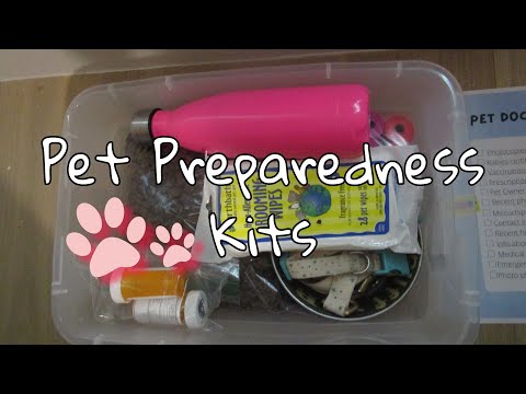 How to Make Pet Preparedness Kits!