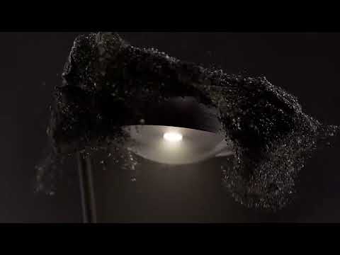 Bruno Wickart AG YouTube-Vdeominiatur 22