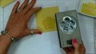 Monochromatic Thank You Notes