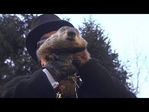 Did Phil See his Shadow?