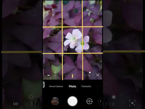 Basic phone camera settings for better photography. #photographytips #mobilephotography #camera