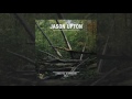 Jason Upton - God's Got A Reason For Everything (Audio)