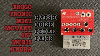 Video thumbnail for Trogotronic Mini Mutant / Meris Hedra // Harsh Noise Pedal Pairs / Pitch / Gliss / Delay by Mr. Apartment