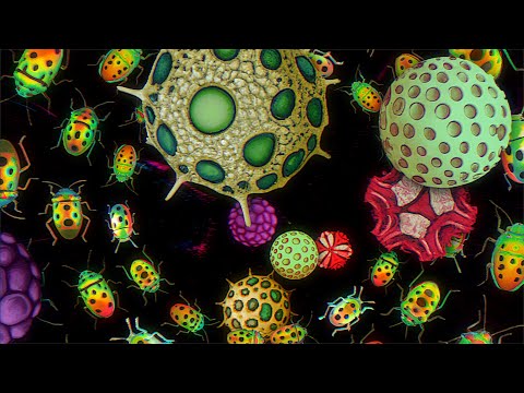 Ligeti Quartet x Anna Meredith - Tuggemo