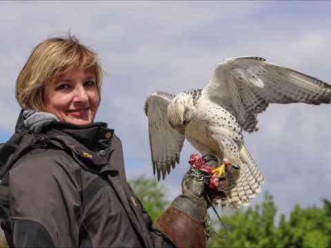 Falknertag 12 05 2019