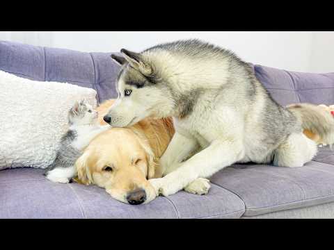 YouTube 썸네일