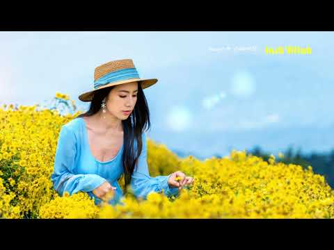 Akcent Ft. CHANTE  -  Insh'Allah Remix @FruitMusica