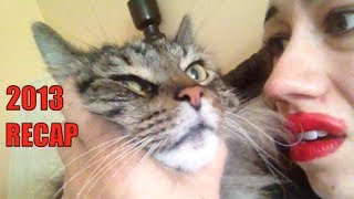 2013 RECAP!!! (but my stupid cat ruins it.)