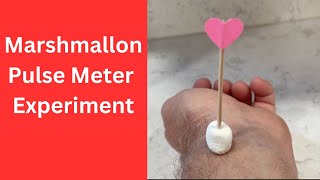 Cool Science Experiment for Kids | Marshmallow Heart Rate