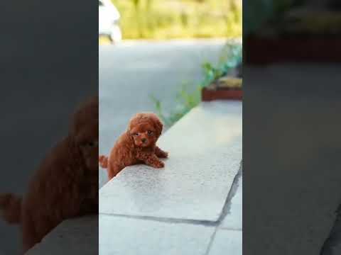 so cute 😋😊😍😘☺