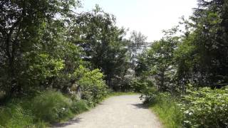 preview picture of video 'Spaziergang in Stavanger mit privat-philosophischen Betrachtungen (12) - Storhaug-Umrundung'