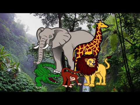 Nassim Al Fakir - Mitt i djungeln