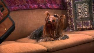 The Closure Alternative