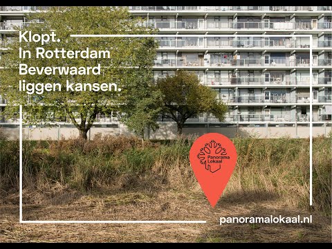 Het kookboek