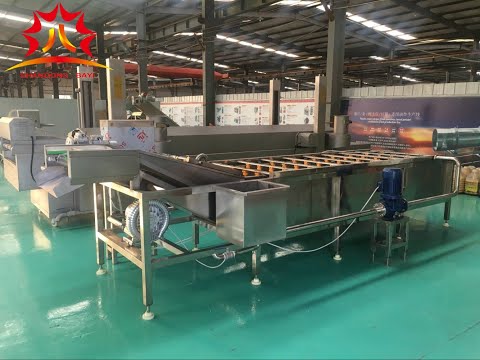 fruit and vegetable washing machine