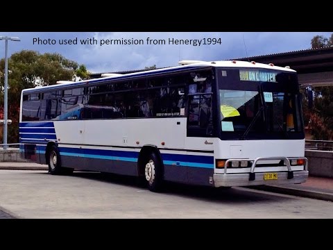 Australian Luxury Travel 3130MO - MAN 16.240 HOCL (ZF/NCBC)