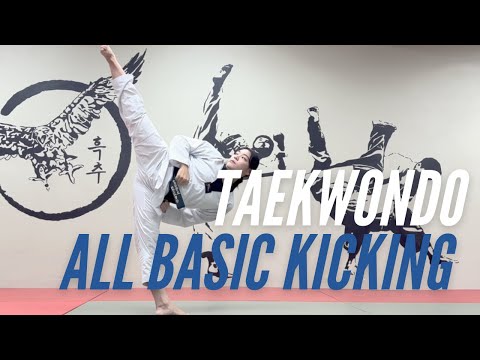 Taekwondo Basics: All Basic Kickings
