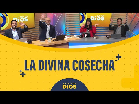 VayaconDiosEp. 962 - La divina cosecha