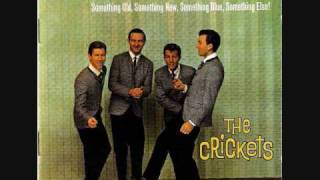 The Crickets.......Don&#39;t Ever Change