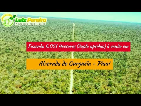 Fazenda 6.051 Hectares (dupla aptidão) à venda em Alvorada do Gurguéia - Piauí