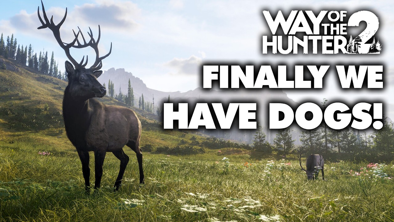 How Did I Miss This Game Announcement? | WOTH2