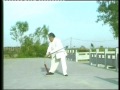 Sword FU SHENGYUAN Authentic Yang Style Taichi Chuan