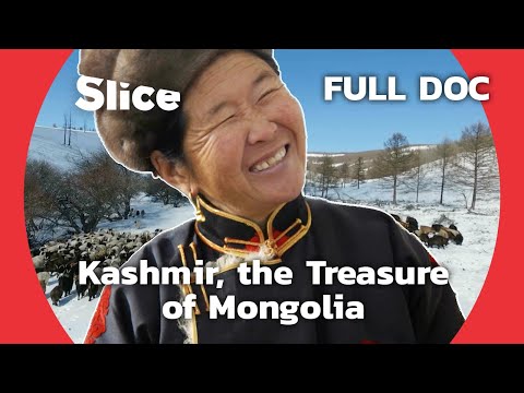 Discover Mongolia's Ancestral Art : Cashmere | SLICE | FULL DOCUMENTARY