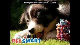 Petsmart Grooming Coupons 2012 - Get Printable Petsmart Grooming Coupons
