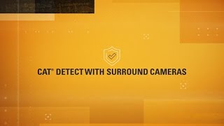 Cat Detect with Surround Cameras