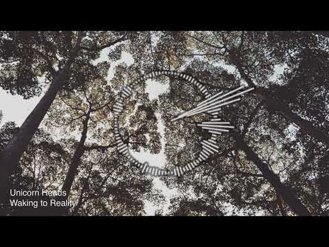 Unicorn Heads - Waking to Reality