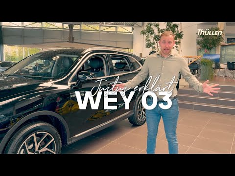 Der WEY 03 - Erste Key-Facts im Vergleich zum großen Bruder WEY 05 💥