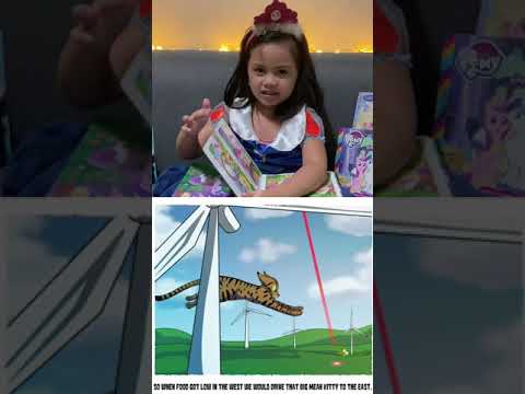 THE BIG MEAN KITTY STORY