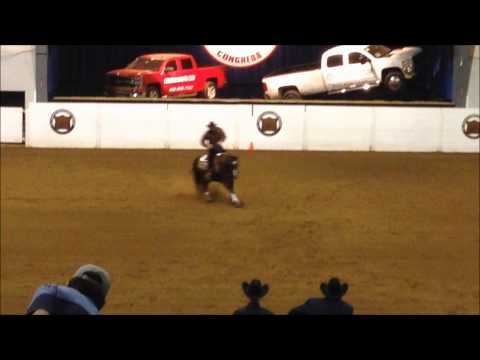 Andrea Fappani NRHA Open Futurity Finals- Quarter Horse Congress 2013