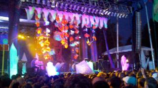 Animal Collective at Pitchfork Music Fest - Father Time