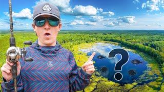 I Found A HIDDEN Swamp On MY Property - What’s Inside?