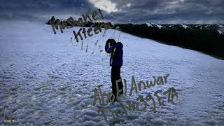 كلمات اغنية مشاكل كتيره ابو الانوار