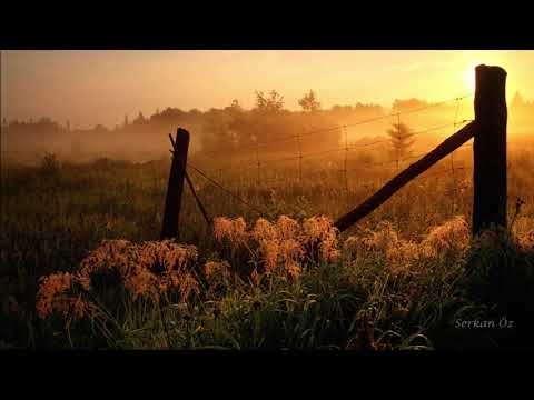 Lee Holdridge - Annie's Song