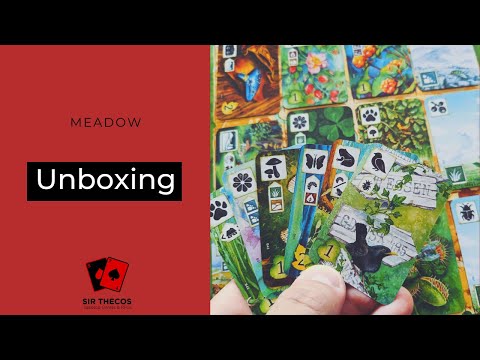 Unboxing | Meadow