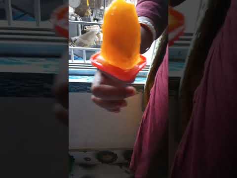 homemade mango and chocolate ice-cream