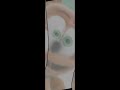 REQUESTED How The Gummy Bear Song Long English Version In G Major 22 Turns Into WInd Blower