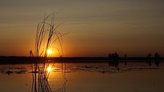Рыбалка на озере катромское