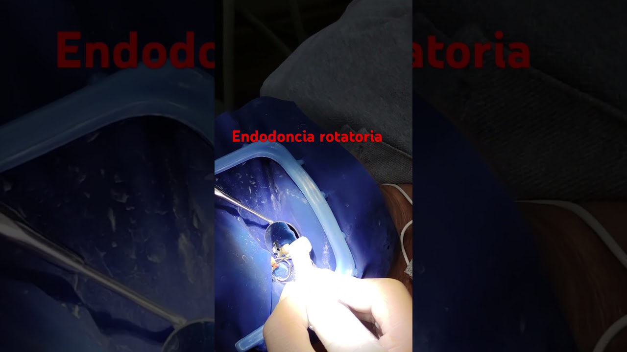 Daniel Ortiz Licea-9