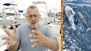 Novice Sailor Rescues Naked Woman 3 Miles Offshore - Dolphins Helped
