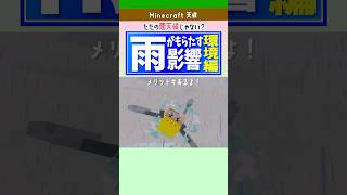 【マイクラ】雨がもたらす影響！環境編！メリット3選も！