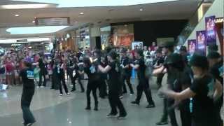 preview picture of video 'Strongsville Mall Dance Flash Mob - Step Up Revolution - Rock City Dance Studio - Misha Gabriel'