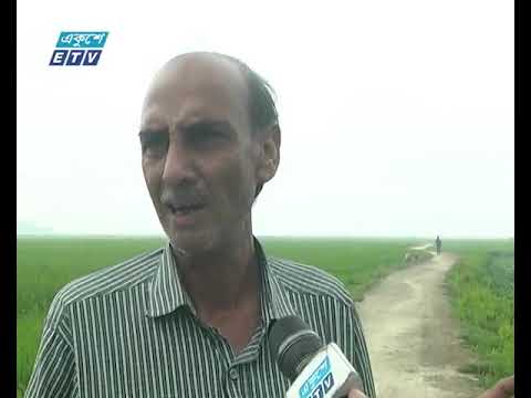 সুনামগঞ্জে কৃষকরা নির্মাণ করলেন সড়ক